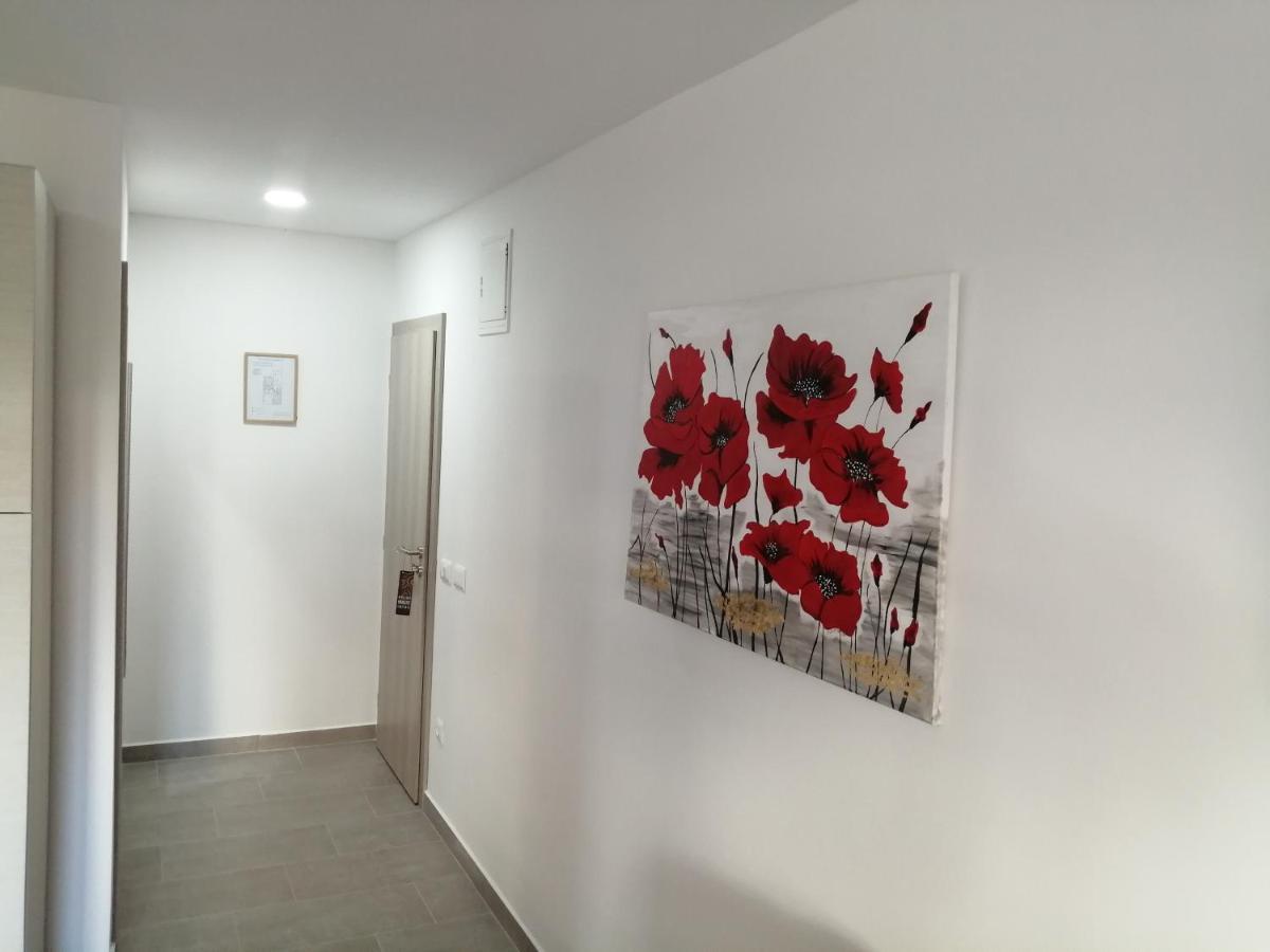 רוביני Studio Istra מראה חיצוני תמונה
